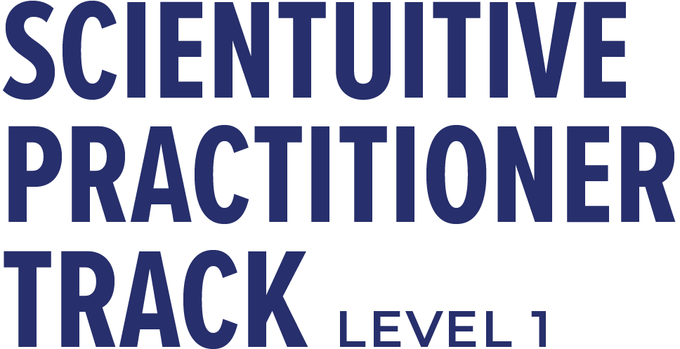 Scientuitive Practitioner Track